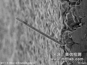 錫須觀察與測(cè)量