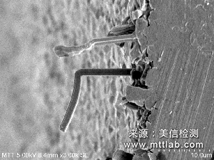錫須觀察與測(cè)量