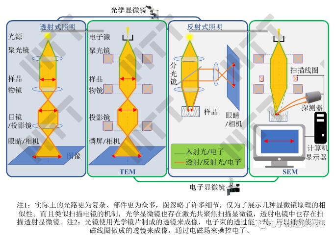光學(xué)顯微鏡與電子顯微鏡的工作原理示意圖