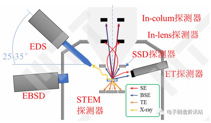 場發(fā)射掃描電鏡中的探測器配置示意