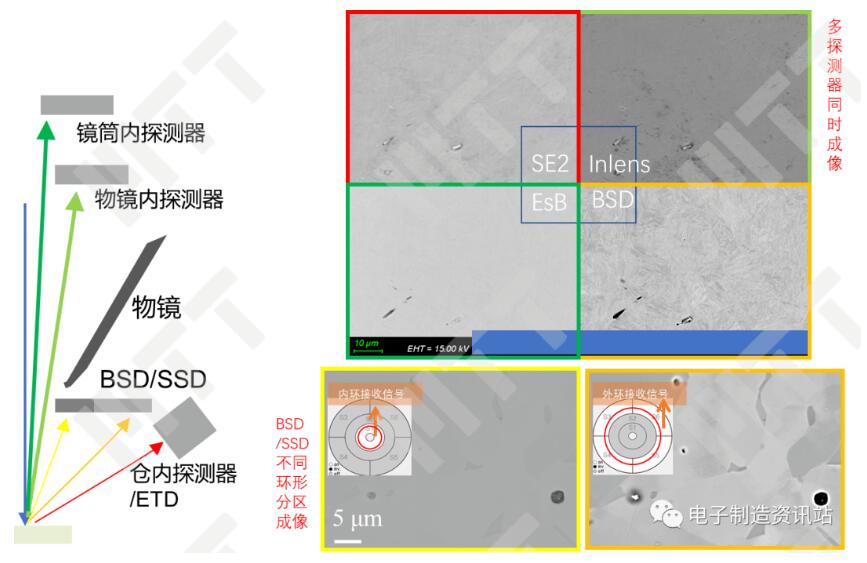 不同探測器對取向襯度反映的實例